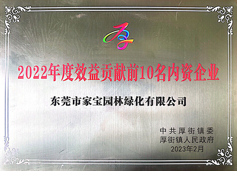 2022年度東莞厚街效益貢獻前十名內資企業(yè)